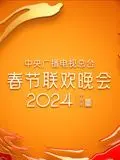 龙腾盛世，欢聚一堂！2024央视春晚精彩回顾：经典与创新交织的视听盛宴