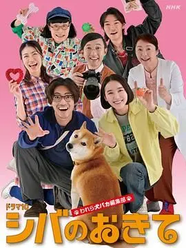 《柴犬的规矩》：狗痴编辑部的欢乐日常，爆笑又治愈的萌宠喜剧来袭！