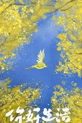 《你好生活4》：治愈回归！央视boys带你发现生活的小确幸与诗意远方