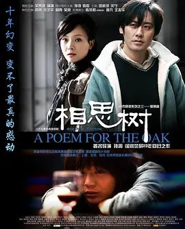 《相思树》：坂本龙马情牵千年，跨越时空的爱恋，现代与古风的极致碰撞